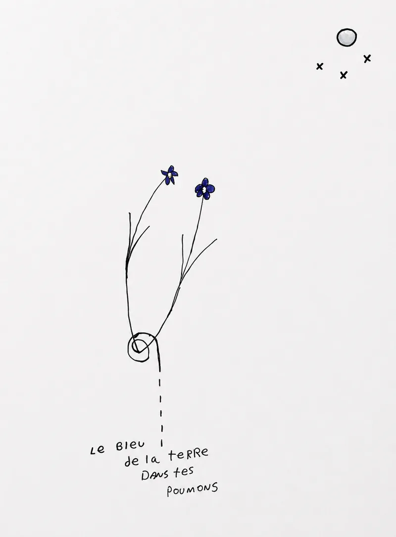 Tige à l’encre portant deux petites fleurs bleues, pointillé descendant