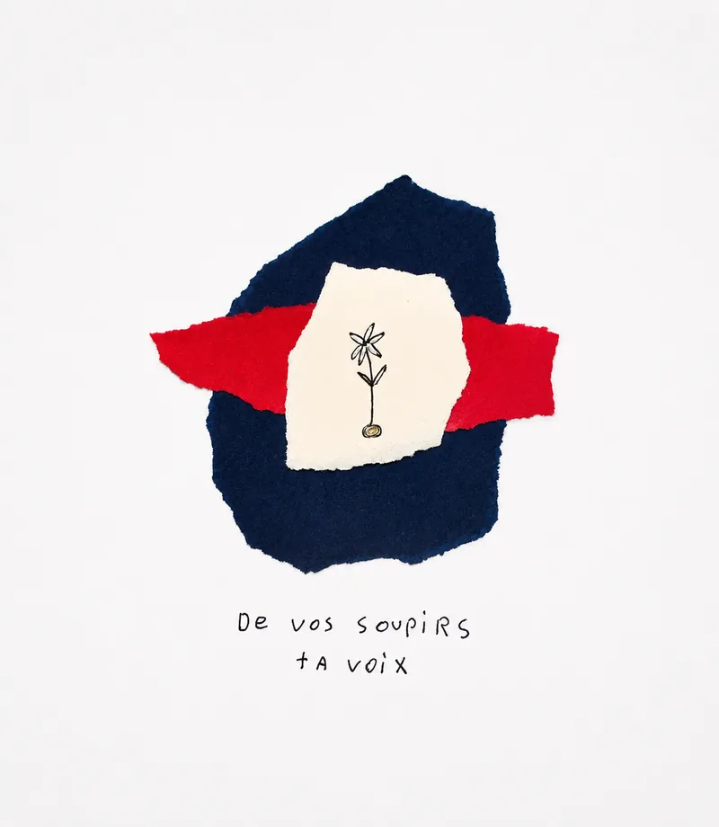 Fleur en pot dans une éclaircie de papier, entourée de bleu nuit et de rouge