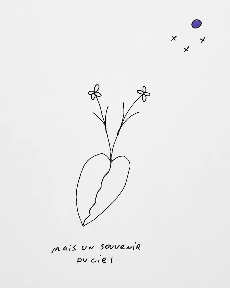 Deux fleurs à l’encre au-dessus d’une feuille dessinée d’un seul trait